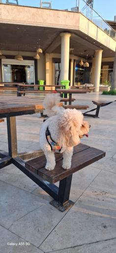 عکس شهرک خانه دریا