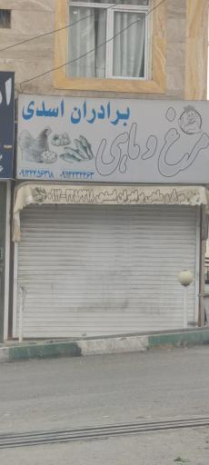 عکس مرغ و ماهی برادران اسدی