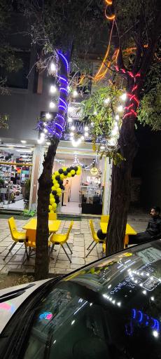 عکس فست فود روما 