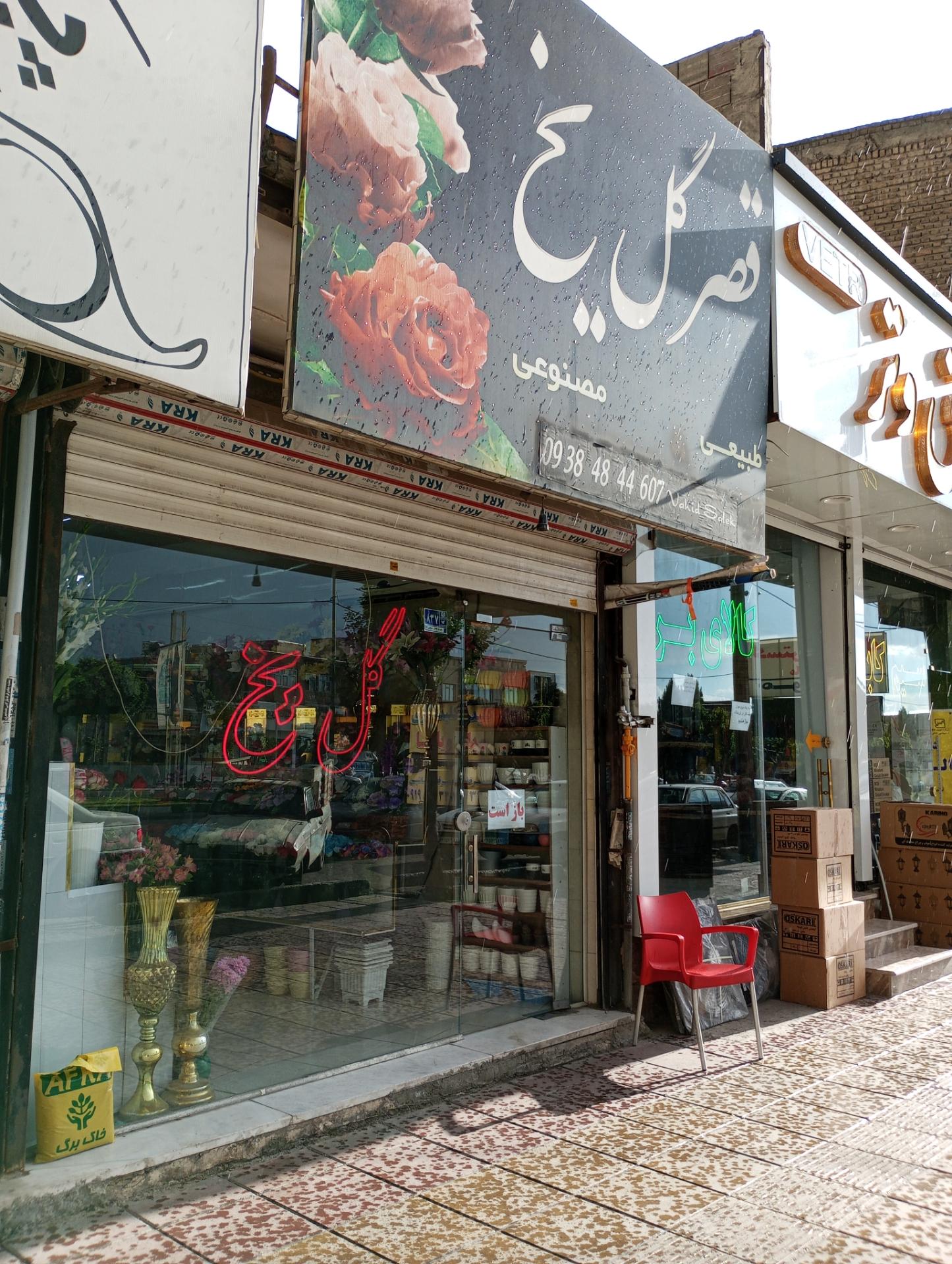 عکس قصر گل یخ