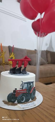 عکس کیک لند صحنه