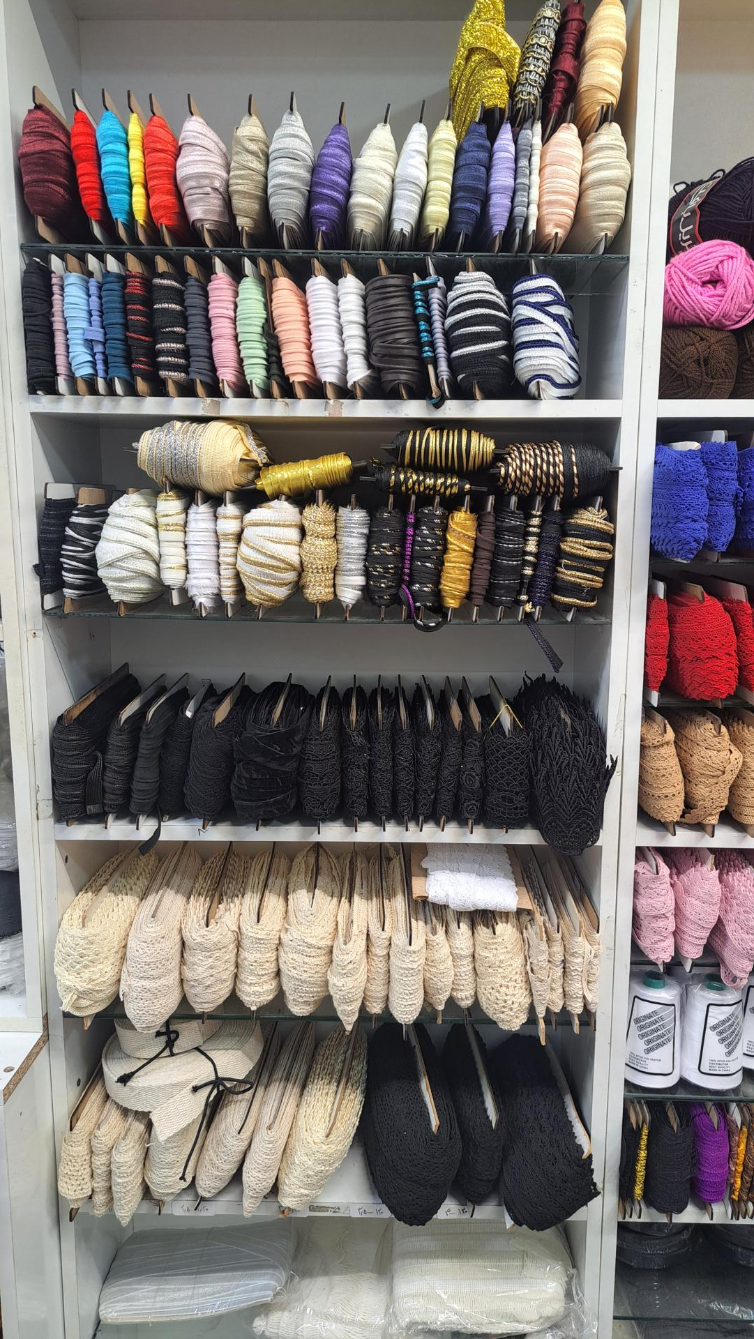 عکس خرازی یاس مجد