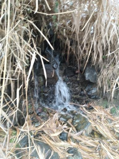 عکس چشمه جهان