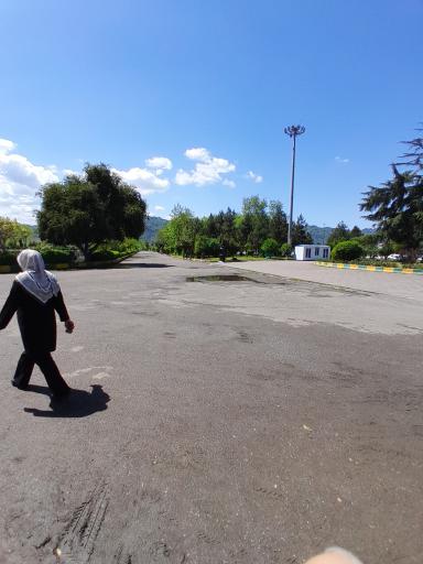 بوستان فجر (نیلوفر آبی)