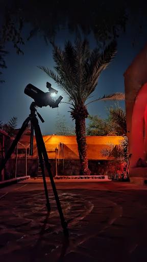 عکس عمارت چند درخت