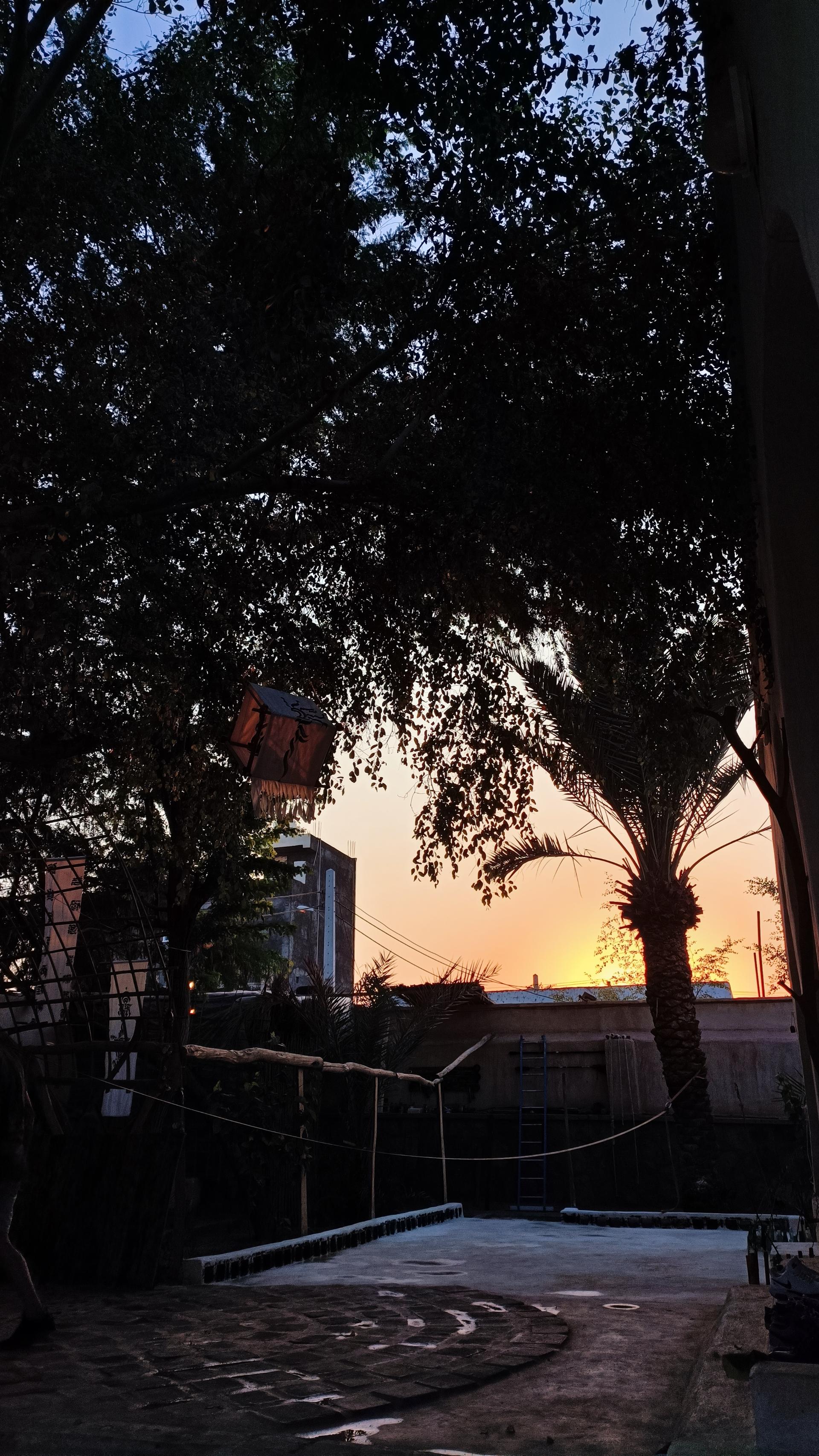 عکس عمارت چند درخت