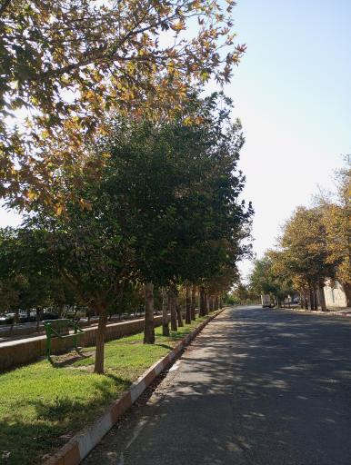 عکس پارک ملت