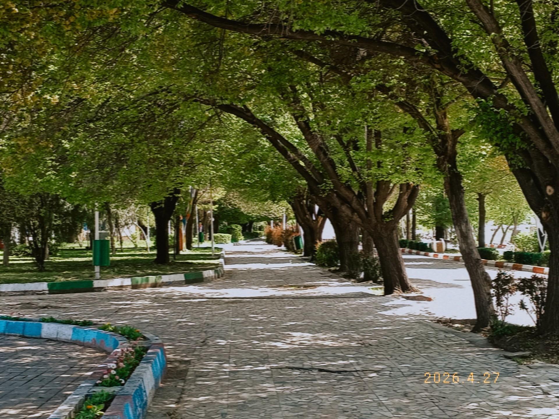 عکس پارک ملت
