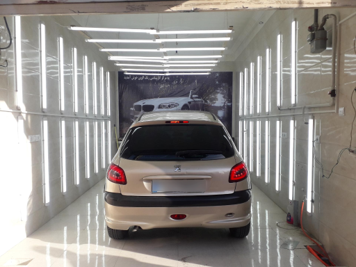 عکس کارشناسی خودرو الوین