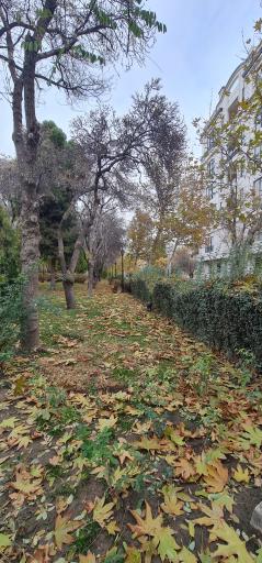 عکس پارک امین