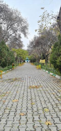 عکس پارک امین