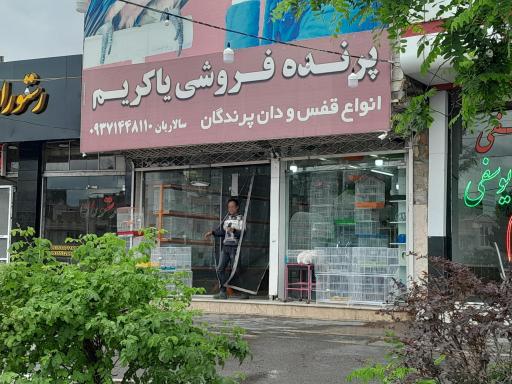 عکس پرنده سرای یاکریم
