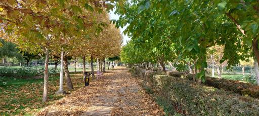 عکس بوستان بهار