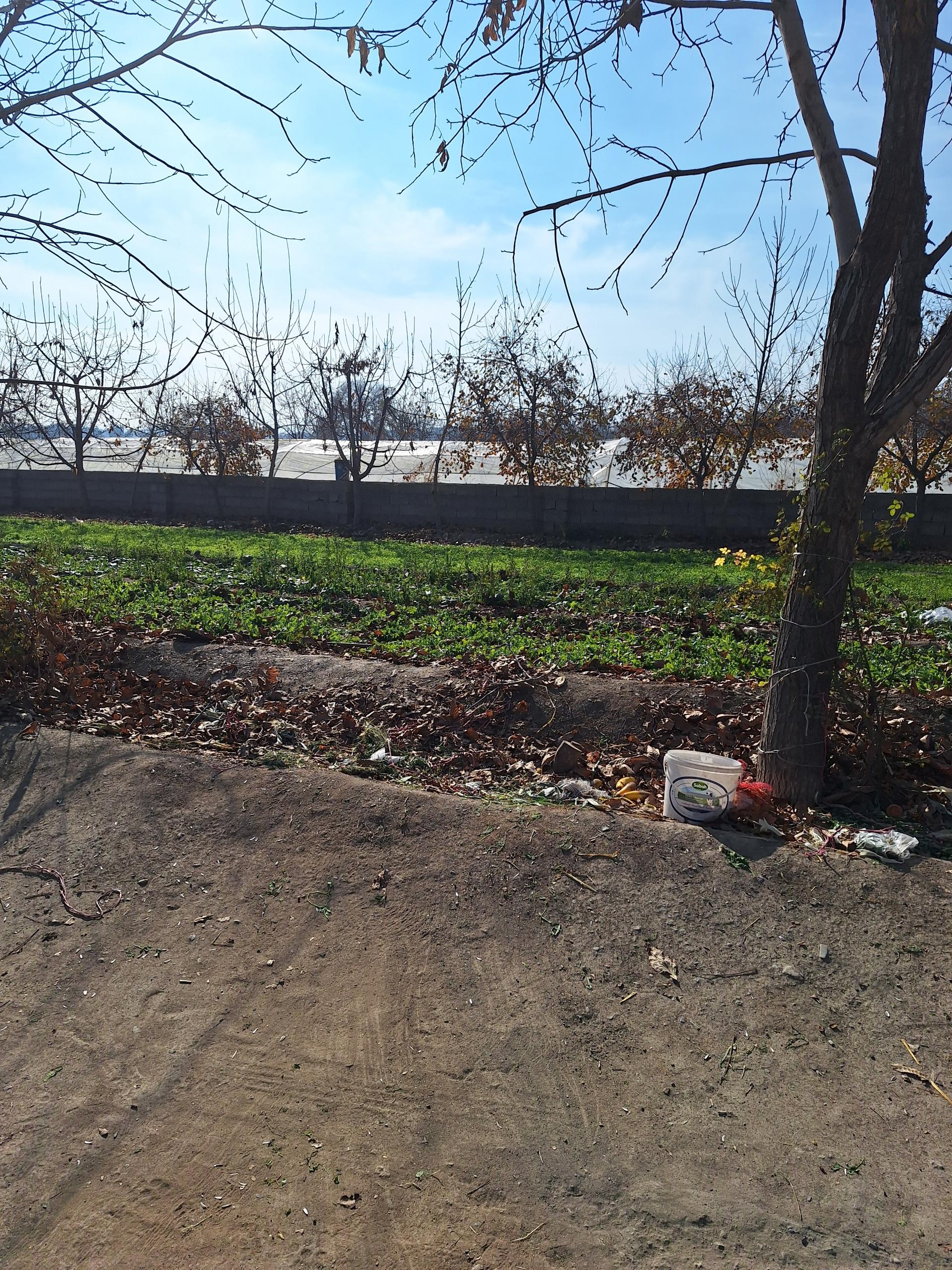 عکس باغ سبزی فرهادی