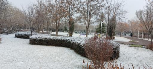 عکس بوستان بهار