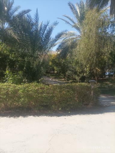 پارک علی آباد