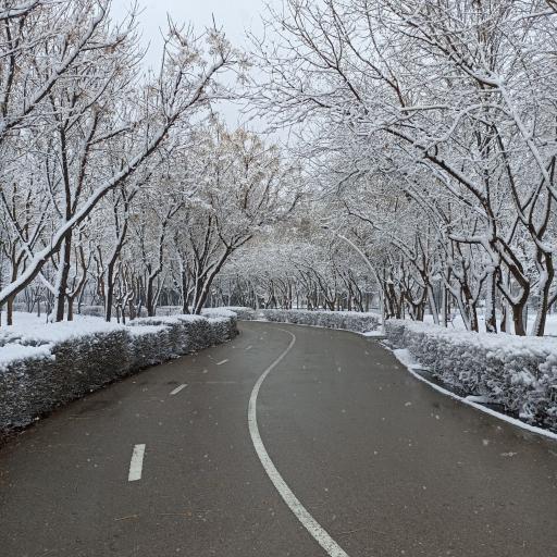 عکس بوستان بهار