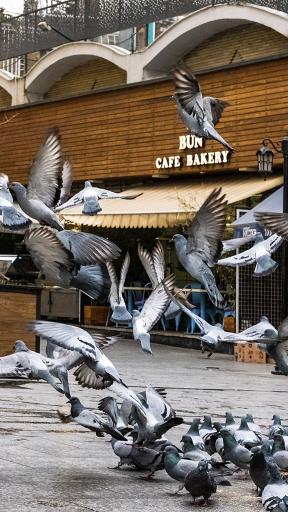 عکس بان کافه بیکری