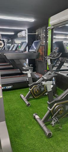 عکس باشگاه استایل 