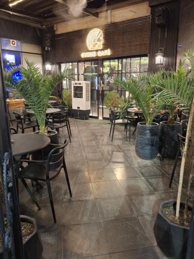 عکس کافی شاپ کوروش