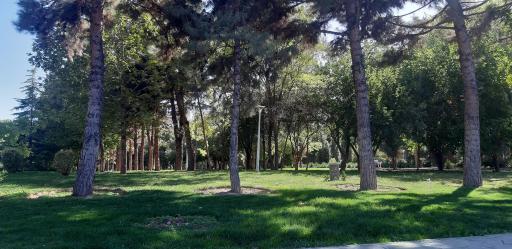 عکس بوستان بهار