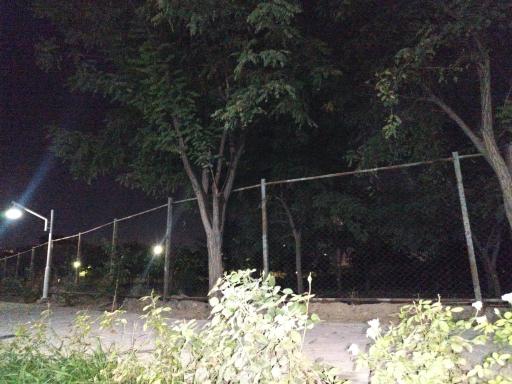 عکس بوستان بهار