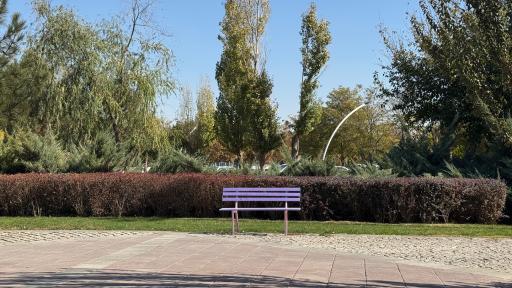 عکس بوستان بهار