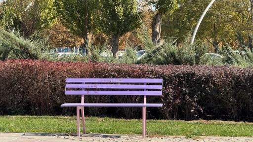 عکس بوستان بهار