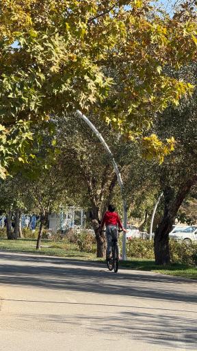 عکس بوستان بهار