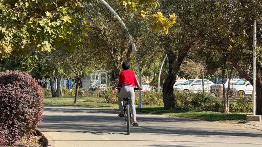 عکس بوستان بهار