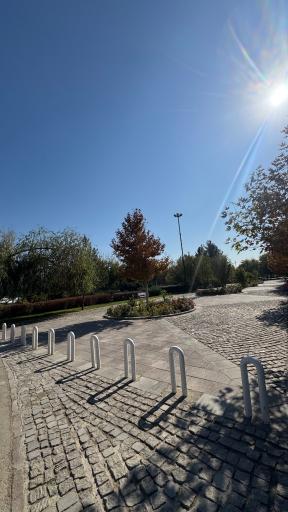 عکس بوستان بهار