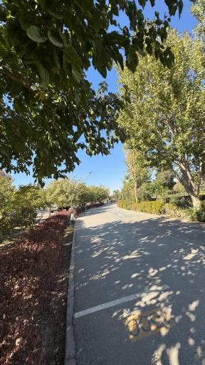 عکس بوستان بهار