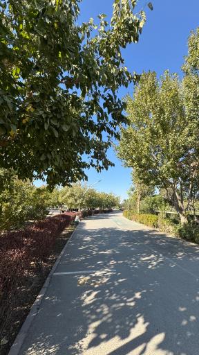 عکس بوستان بهار