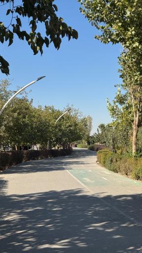 عکس بوستان بهار