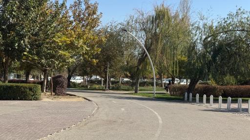 عکس بوستان بهار