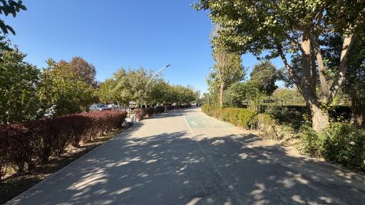 عکس بوستان بهار