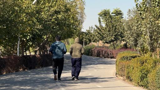 عکس بوستان بهار