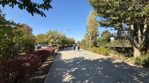 عکس بوستان بهار