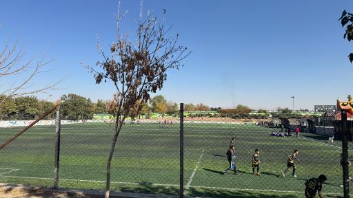 عکس بوستان بهار