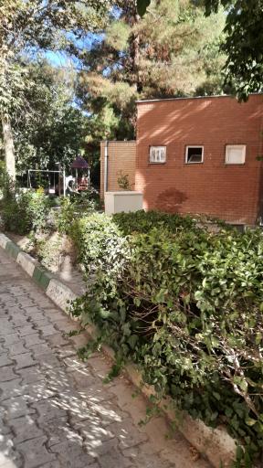 عکس پارک امین