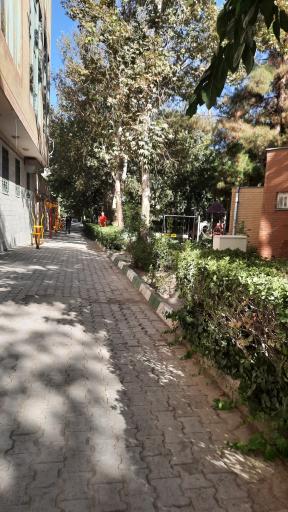 عکس پارک امین