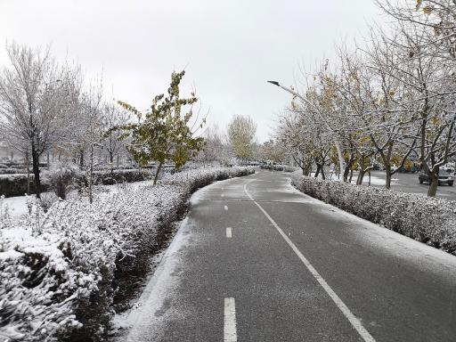 عکس بوستان بهار