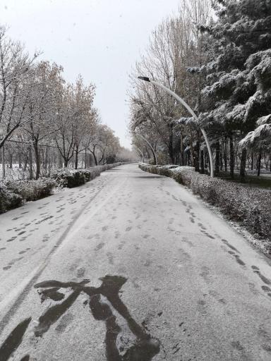 عکس بوستان بهار