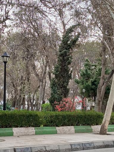 عکس پارک امین