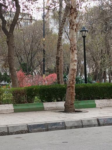 عکس پارک امین