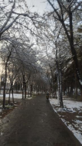 عکس بوستان بهار