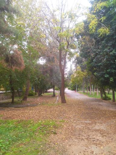 عکس باغ نظر