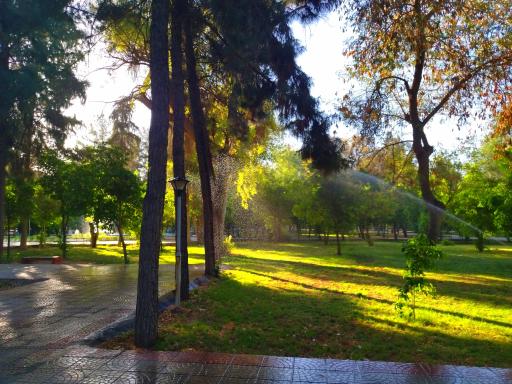 عکس باغ نظر