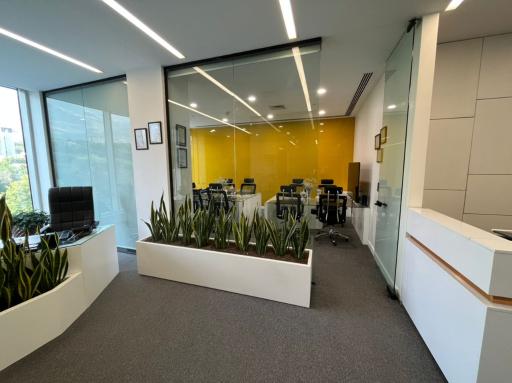 عکس شرکت سورین پدیده اطلس