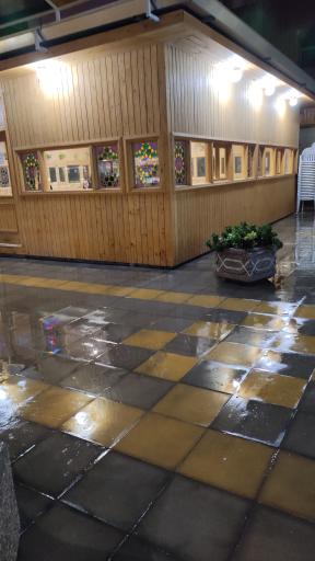 عکس کلبه ۳۱۳ یار 